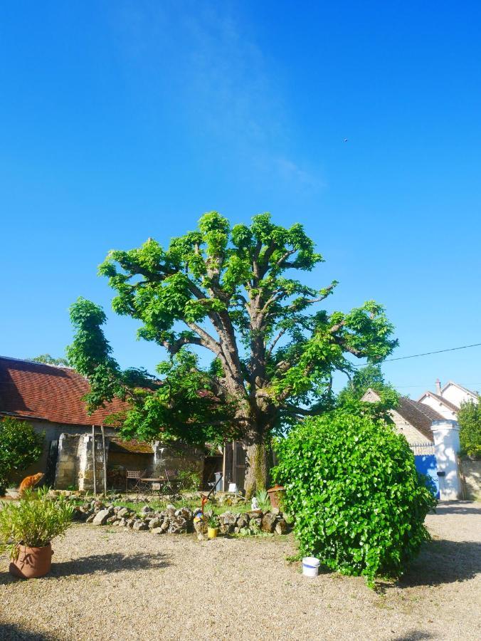 Au Coeur De La Cour Villa Saint-Georges-sur-Cher Exteriör bild